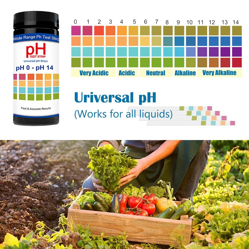 100 Pieces Multipurpose Chlori - Ph Strip Test บทวิจารณ์และราคา