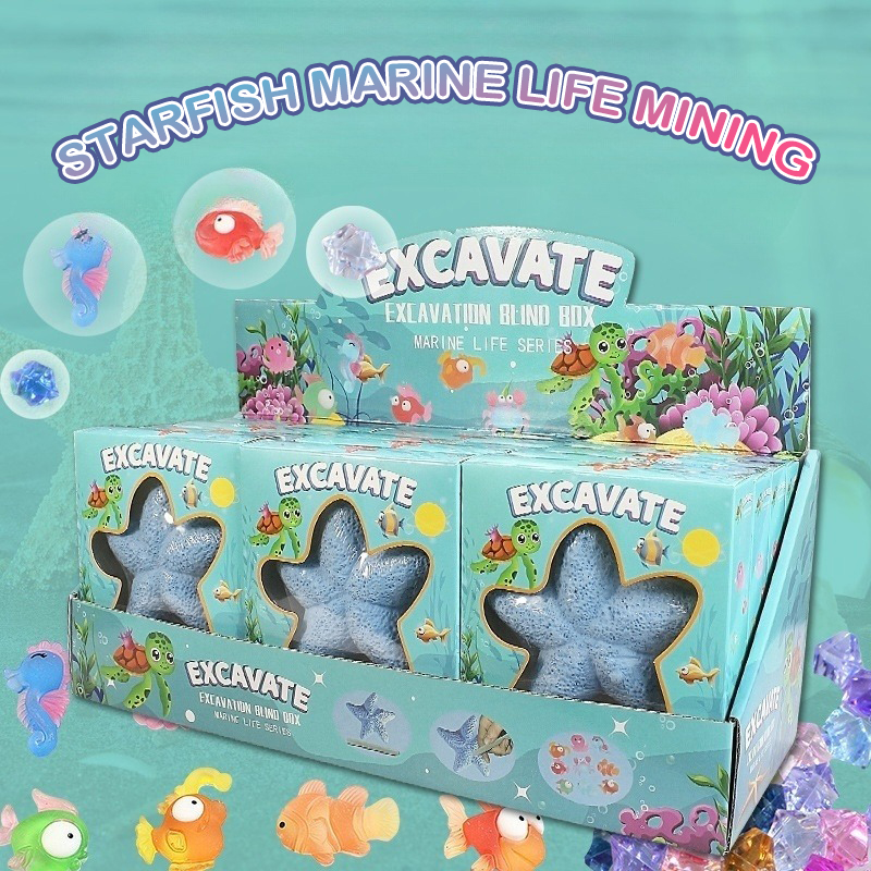 Starfish Marine Life Gemstone  - Science Kit บทวิจารณ์และราคา