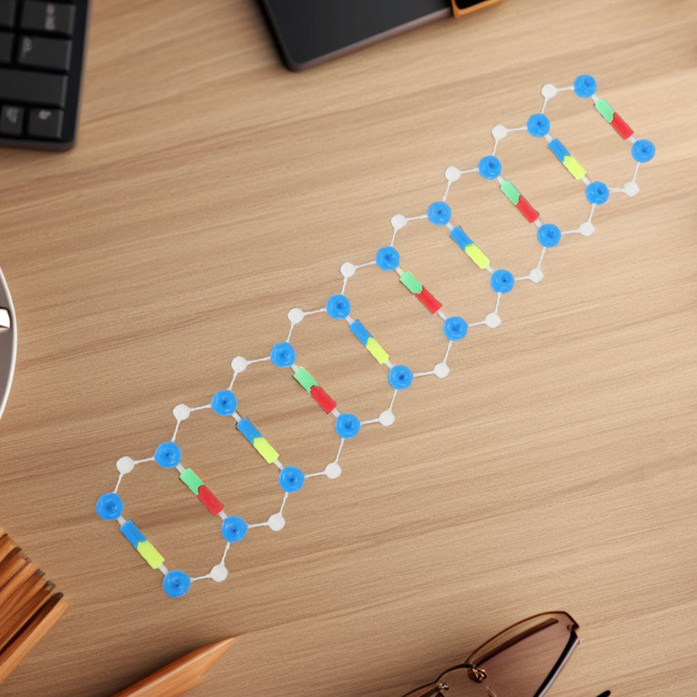 2Pcs Dna Double Helix Structur - Science Kit บทวิจารณ์และราคา