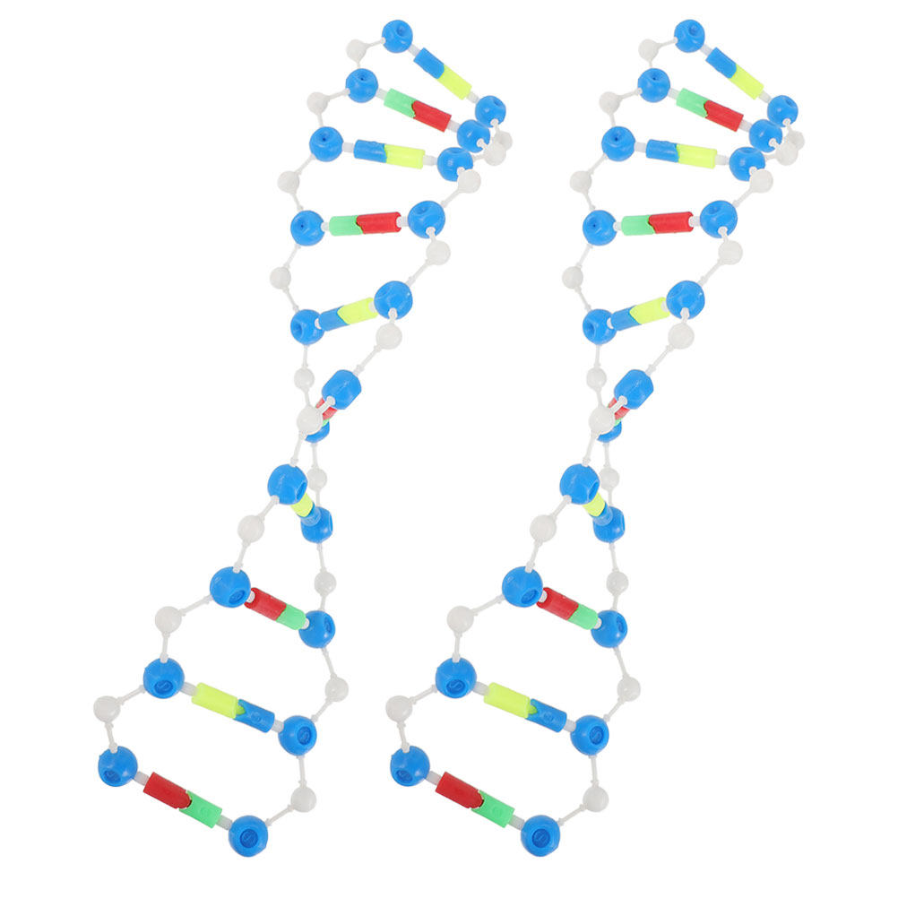 2Pcs Dna Double Helix Structur - Science Kit บทวิจารณ์และราคา