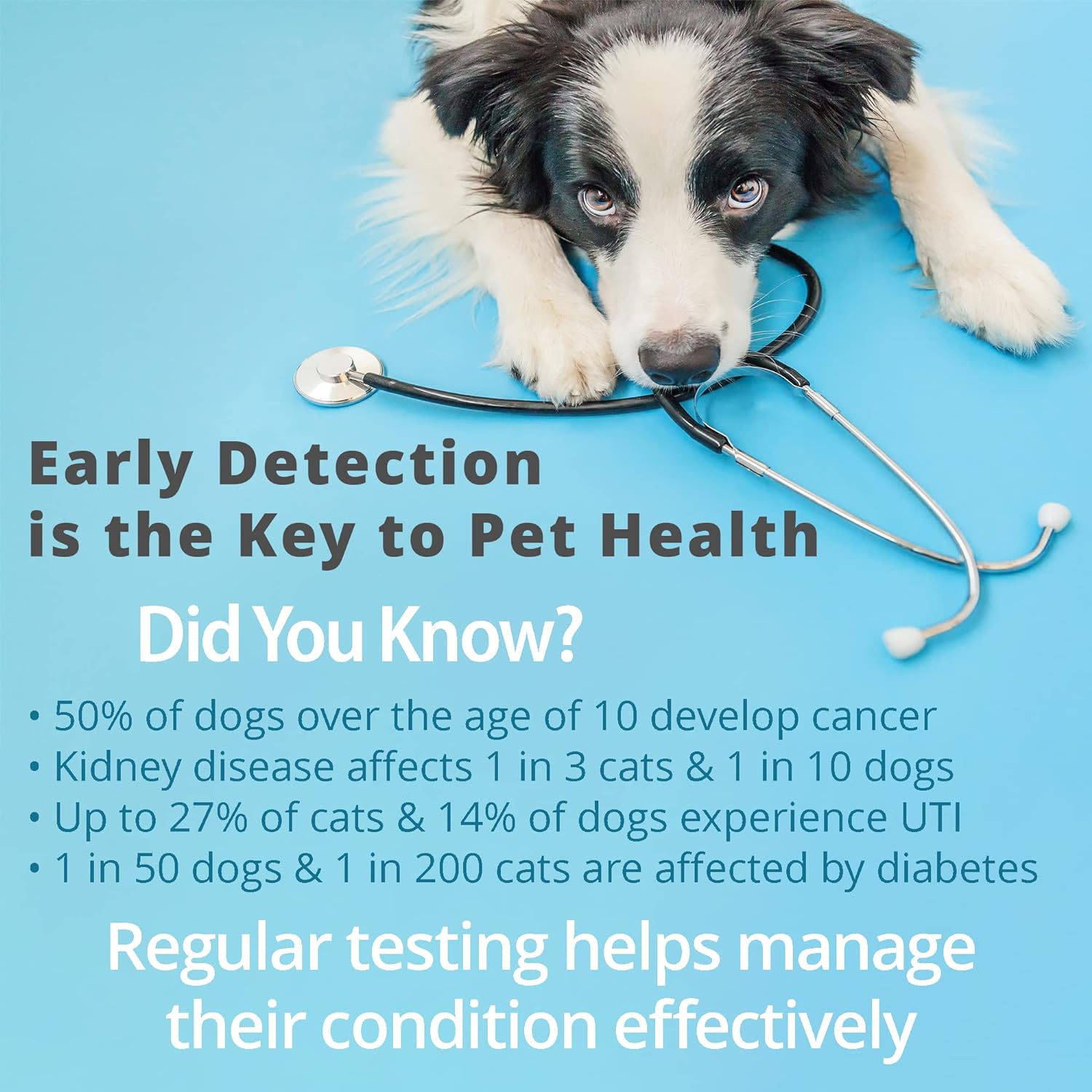 Pet Urine Testing Strips, 100  - Ph Strip Test บทวิจารณ์และราคา